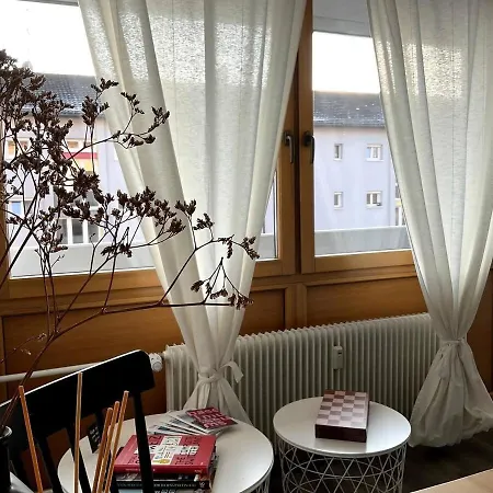 Apartamento Renoviertes Loft Mit Parkplatz Und Balkon