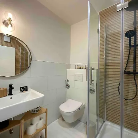 Renoviertes Loft Mit Parkplatz Und Balkon Lörrach